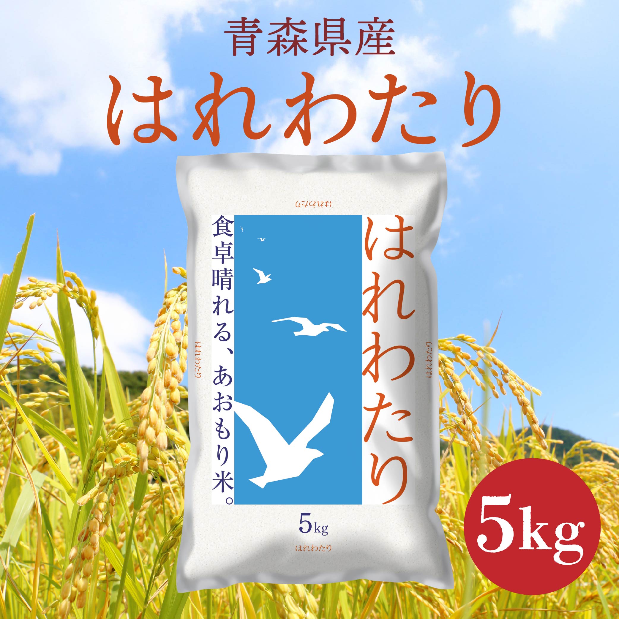 青森県産 はれわたり 5kg 5kg×1袋 令和7年産 米 精米 白米 お米 青森県産