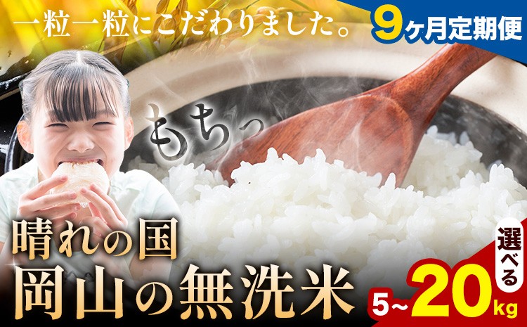 
            【9ヶ月定期便】晴れの国岡山の無洗米 選べる内容量 5kg 10kg 15kg 20kg 岡山県産 無洗米 無洗 米 矢掛町《申し込み翌月から発送》米 コメ 定期便
          