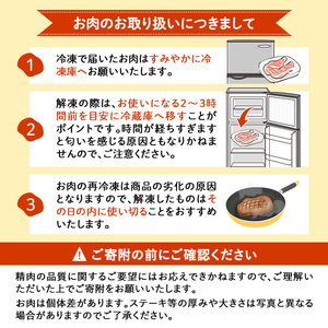 鹿児島県志布志市産横峯黒毛和牛の切り落とし肉(計500g・125g×4P) 鹿児島県産 国産 牛肉 牛 スライス 切り落とし 焼き肉 希少牛 小分け モモ ウデ バーベキュー BBQ すき焼き しゃぶ