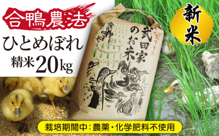 《令和６年産》 新米 武田家のお米 ひとめぼれ（精米）20kg＜合鴨農法＞【米農家 仁左ェ門】 / 米 白米 ５キロ ４袋 アイガモ