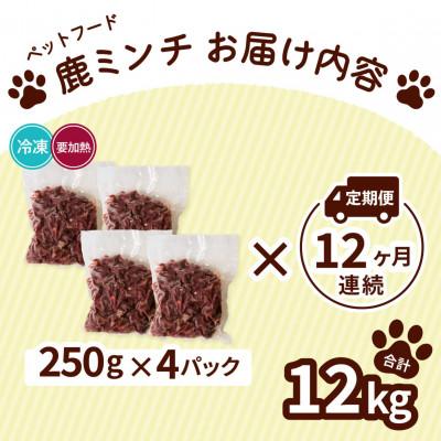 ふるさと納税 海陽町 【毎月定期便】《細挽き計12kg|250g×4P》鹿肉ペット用　鹿ミンチ　小分けタイプ全12回 |  | 01
