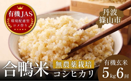 令和8年産【6回定期便】コシヒカリ 5kg 玄米 無農薬 コシヒカリ