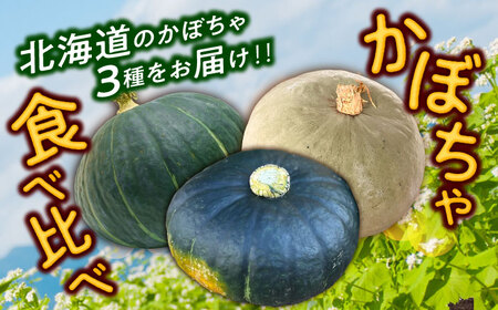 【先行予約】北海道 かぼちゃ ダークホース・とっておき・特濃こふき 3種類×2個 【9月中旬以降発送】足寄町/足寄アグリバイオ株式会社[BEAC013]
