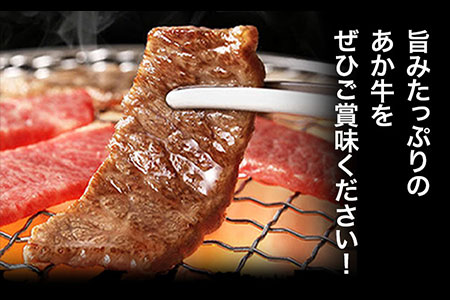 あか牛 ロースセット 計400g ロース焼肉200g ローススライス200g あか牛の館 《60日以内に出荷予定(土日祝除く)》熊本県 南阿蘇村