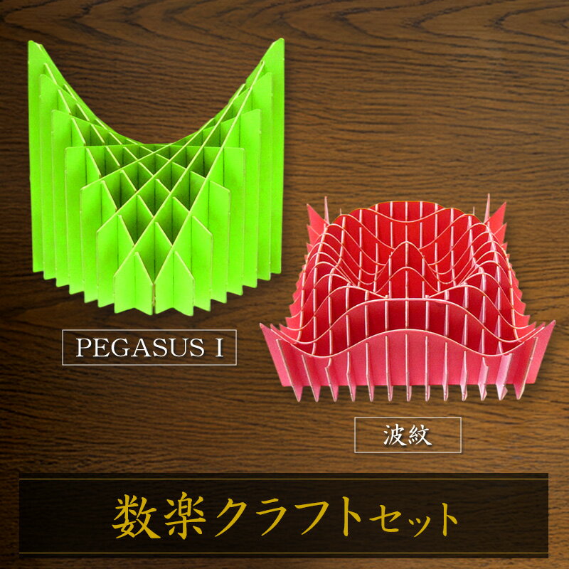 【ふるさと納税】数楽クラフトセット PEGASUSI 波紋 2つの2変数関数のセット 数楽アート 数楽クラフト 組み立て 数学 数式の美しさ 馬の鞍 三角関数 アート オブジェ 立体グラフ 多変数関数 2変数関数 ユニーク 東京都 大田区