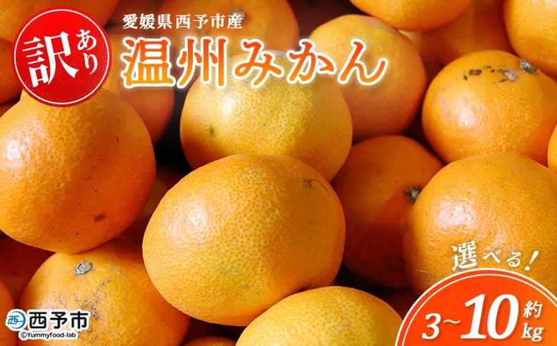
            ＜西予市産 温州みかん 訳あり 約3kg/5kg/10kg＞ 選べる 温州 うんしゅうみかん ウンシュウミカン 蜜柑 ミカン みかん 果物 フルーツ 柑橘 国産 愛媛県産 ご家庭用 自宅用 サイズおまかせ 特産品 丸二青果 愛媛県 西予市【常温】『2025年11月～2026年1月迄に順次出荷予定』
          