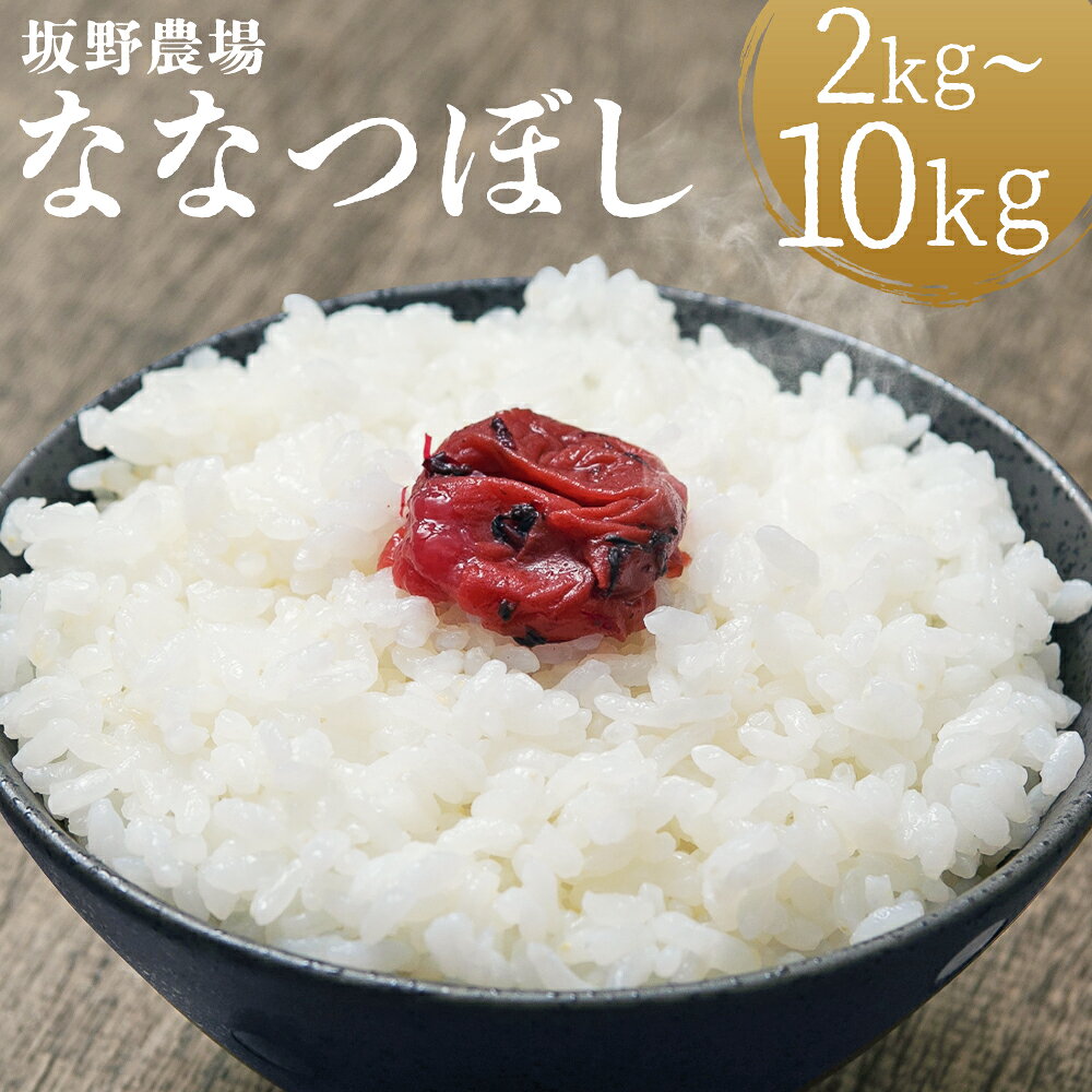 【ふるさと納税】＜選べる内容量＞【令和8年産】 らんこし米 ななつぼし 約2kg×1袋 / 約5kg×1袋 / 計約10kg（約5kg×2袋） お米 米 こめ コメ 白米 精米 単一原料米 ごはん ご飯 お弁当 お寿司 北海道産 国産 北海道 蘭越町 送料無料 【2026年10月上旬発送開始予定】