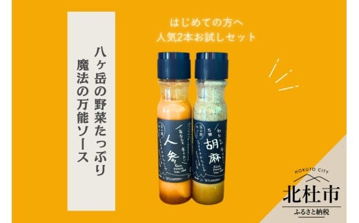 はじめてのフェリチタ（2本）　ドレッシング 調味料 詰め合わせ 2本 セット 200ml×2本 人参ドレッシング 胡麻ドレッシング 野菜 サラダ 温野菜 肉料理 たれ 食べ比べ 手づくり 八ヶ岳 栽培期間中農薬不使用 化学調味料不使用 保存料不使用 着色料不使用