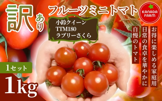 《先行予約》【お得に味わえる家庭用】訳ありフルーツミニトマト1㎏ 1セット 野菜 規格外 お買い得 自宅用 たっぷり まとめ買い 大容量 新鮮 旬 食材 お取り寄せ 愛知県 豊橋市