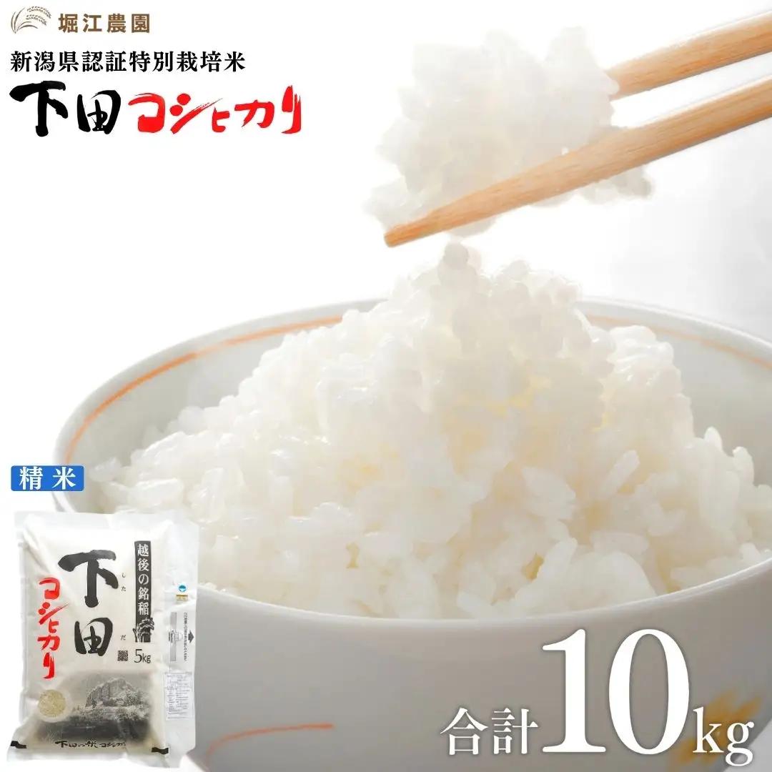新潟県認証コシヒカリ 10kg 特別栽培米コシヒカリ 5kg×2 令和7年産