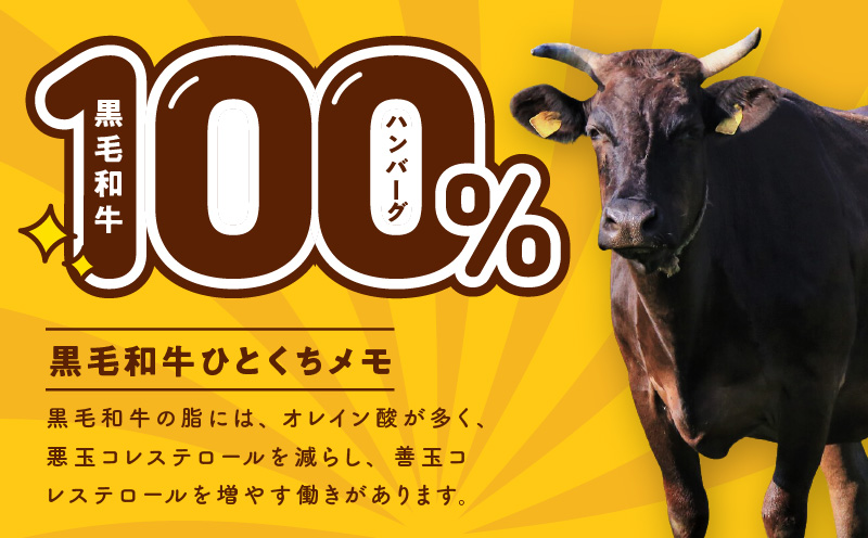 黒毛和牛100％ 極み生ハンバーグ（180g）×10個 G3630