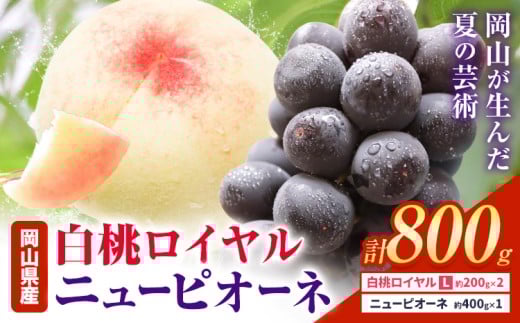 【2026年先行予約】岡山県産 白桃ロイヤル ニューピオーネ 詰合せ 選べる 計800g 株式会社はちや《2026年7月上旬‐8月下旬頃出荷》岡山県 浅口市 白桃 桃 ぶどう 葡萄 フルーツ ギフト 果物 デザート 国産【配送不可地域あり】