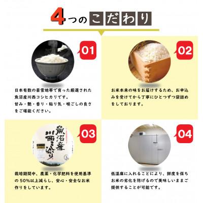 ふるさと納税 十日町市 【発送月固定定期便】【10月下旬より発送予定】新潟県魚沼産川西こしひかり1kg全12回 |  | 01