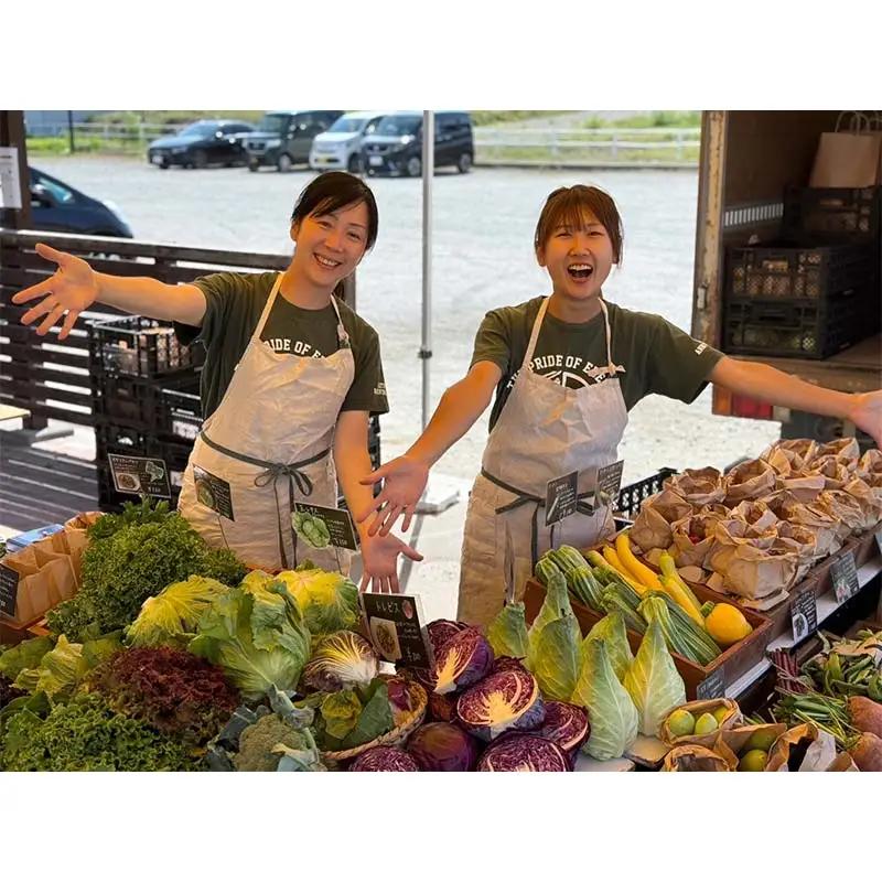 季節の彩り野菜セットSサイズ(5～7品) 野菜 詰め合わせ 新鮮 産地直送 北海道 江別市 EB8-0153