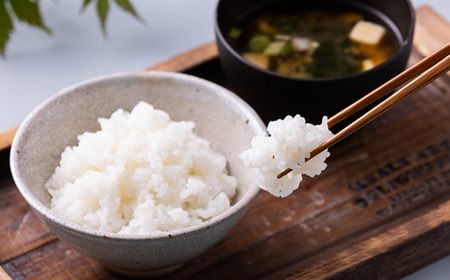 まっしぐら　精米5kg×2袋_ 精米 米 _【配送不可地域：離島・沖縄県】【1135488】