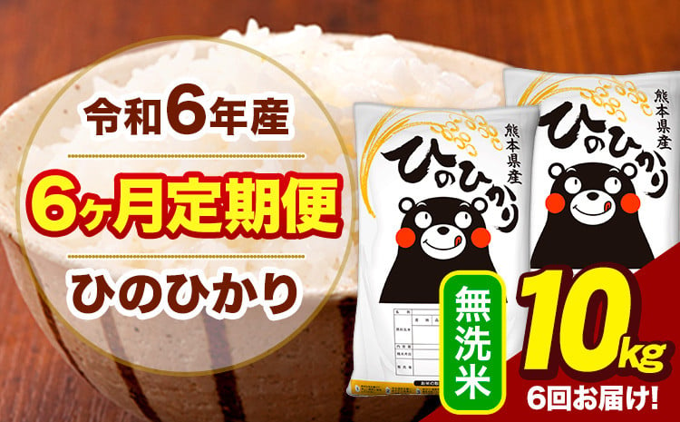 
            令和6年産 【6ヶ月定期便】  無洗米 米 ひのひかり 10kg《お申し込み月の翌月から出荷開始》熊本県 大津町 国産 熊本県産 無洗米 送料無料 ヒノヒカリ こめ お米
          