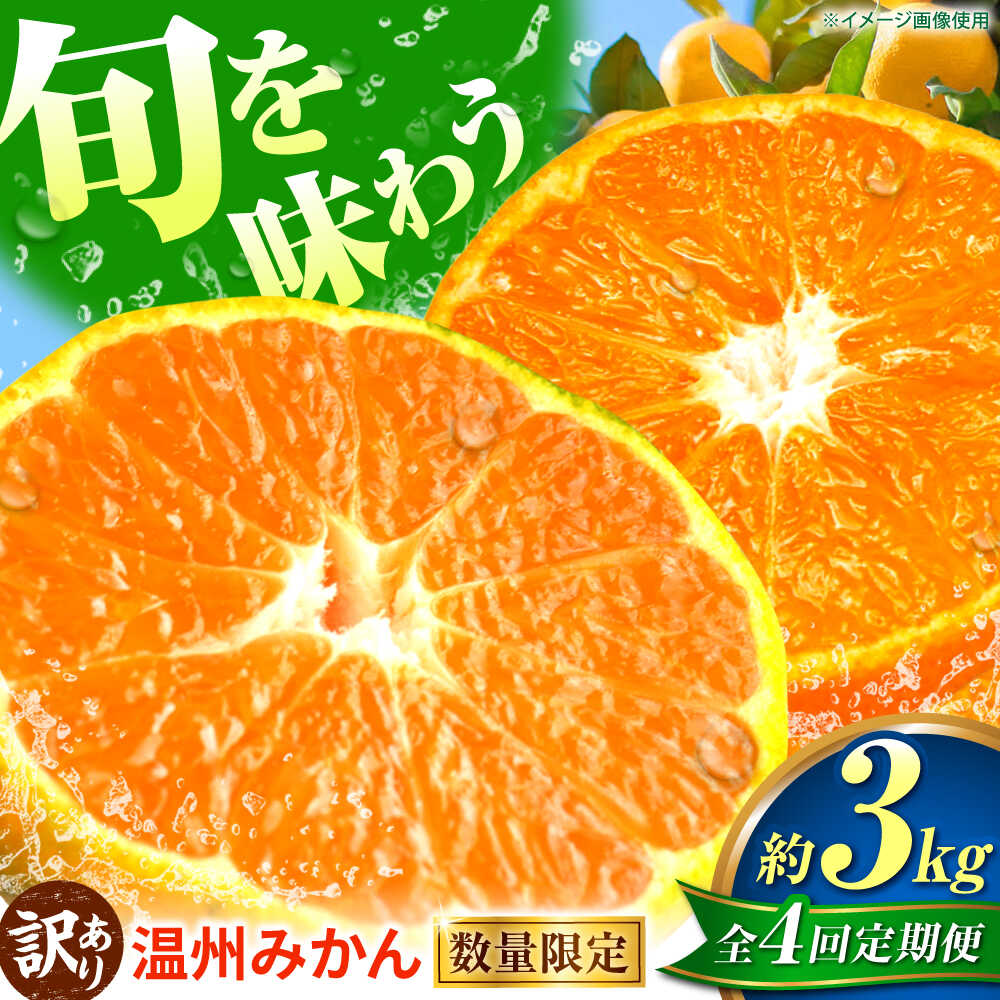 【ふるさと納税】【先行予約】【全4回定期便】 訳あり 温州みかん 3kg 極早生 早生 中生 晩生 みかん 【池田農園】[ZEX013]