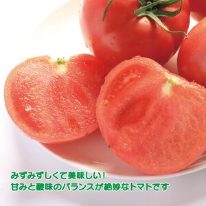 トマト 大玉 3kg 2カ月 定期便 大玉トマト サラダ トマトの国  トマト トマト トマト