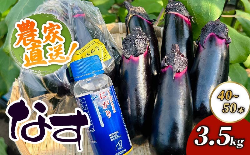 
                  農家直送　土佐の美味茄子の新鮮ナス　３．５kg　（室戸海洋深層水にがり使用） 野菜 なす ナス 常温 小袋 国産 夏野菜 茄子 小分け 旬  高知
                