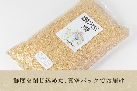 【令和7年産】【無農薬・無化学肥料】新潟産コシヒカリ「かも米」玄米20kg（5kg×4袋）