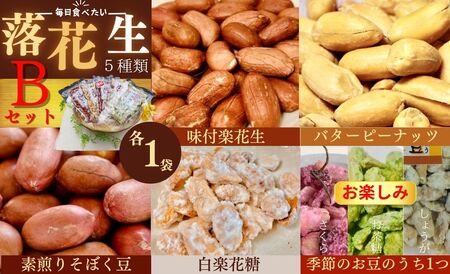 落花生 豆 毎日食べたい落花生セット（5袋）B / ピーナッツ 4種類 詰合せ 塩味 バター 観光推奨品 丹沢 おつまみ おやつ 秦野 神奈川 厳選素材 豆 落花生 素煎りそぼく豆 季節限定ピーナッツ 白楽花糖 ピーナッツ 味付けピーナッツ バターピーナッツ 食品ギフト 手土産 009-05-1 