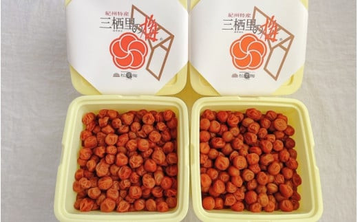 紀州小梅　はちみつ小梅（塩分８％）　4kg(2kg×2個）  / 田辺市 紀州南高梅 南高梅 梅干し 梅干 梅  肉厚 お米 おにぎり 焼酎 梅酒 健康 小梅 はちみつ【ske047-1】