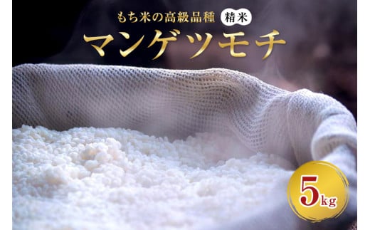 マンゲツモチ 精米 5kg もち米の高級品種 お米 精米 もち米 白米 ごはん ご飯 もち 餅 モチ 単一原料米 茨城県産 高級 高品質 69-T