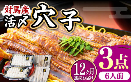 【全12回定期便】対馬産 活〆 穴子 ３点 セット E 新鮮 あなご 刺身 天ぷら 海鮮 六人前  [WAS020]
