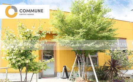 【贈答用】コーヒー豆（粉）100g×3 ブレンドコーヒー 3種類 自家焙煎 珈琲 中挽き 中煎り 深煎り 極深煎り 飲み比べ お手土産 おすすめ ギフト プレゼント 化粧箱