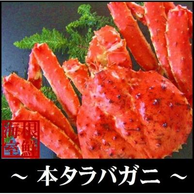 ふるさと納税 根室市 ＜12/21決済分まで年内配送＞ 本タラバガニ1.0〜1.2kg前後×1尾 C-57013