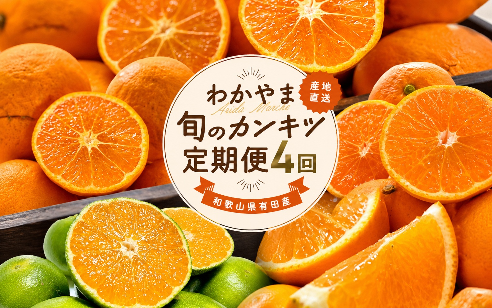 【全4回】和歌山旬のカンキツ定期便【L】3・5・9・11月発送（ご家庭用）※北海道・沖縄県・離島への配送不可 / 春の柑橘 初夏の柑橘 青切り 有田みかん 完熟有田みかん フルーツ くだもの 果物【a