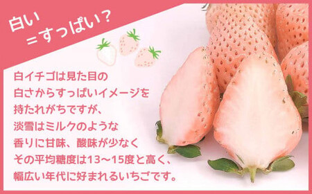 白いちご 淡雪 約500g | 西谷農園