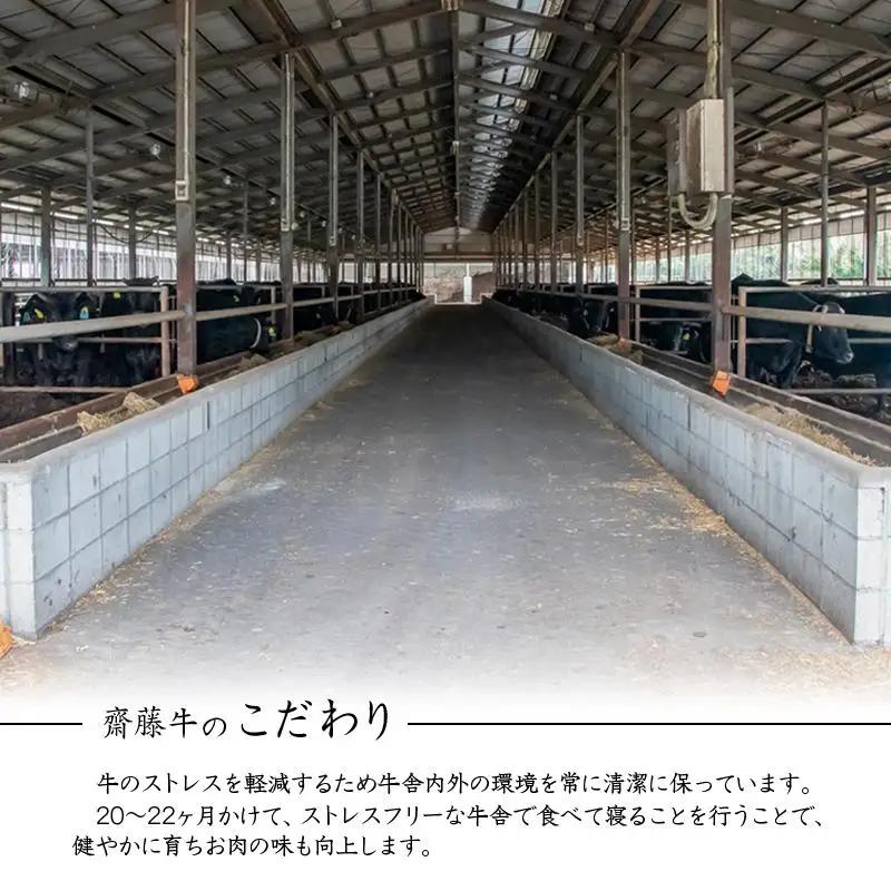 黒毛和牛「宮崎和牛 齋藤牛」切り落とし1.2kg（400g×3）小分け 国産牛肉＜5-9a＞