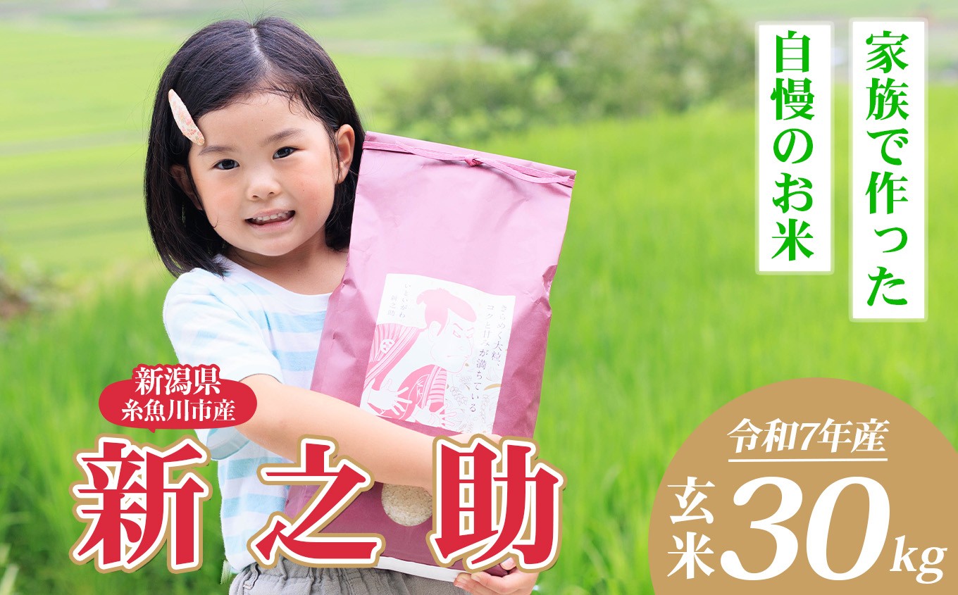 
                  令和7年産 新之助 玄米 30kg （精米サービス可能／小分け不可）【新潟県産 農家直送 新之助 2025年産 プロが認めた美味しいお米 百姓や伝六 美味しい 農家自慢 お米 白米 おにぎり お弁当 新潟米】
                