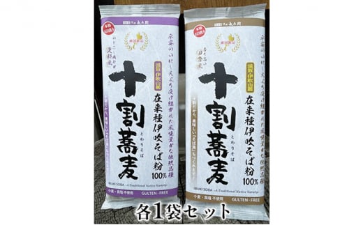 在来伊吹十割そば干し蕎麦2種セット(更科風・田舎風各1袋入) [№5694-0719]