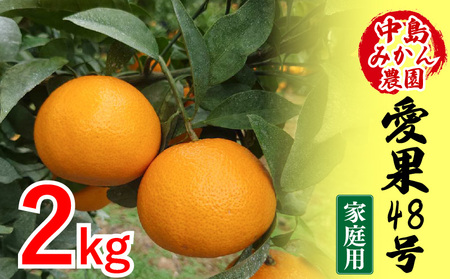 【2027年3月下旬頃から順次発送】 愛果48号 家庭用 2kg | あいか 家庭用 紅プリンセス と同品種 高級 蜜柑 ミカン みかん ジューシー 甘い 柑橘 人気 お取り寄せ 期間 数量 限定 愛媛 松山 中島みかん農園【NM030】