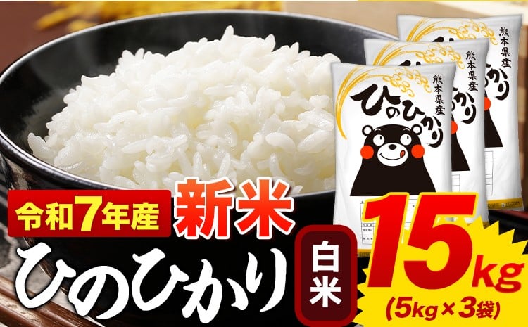 
            新米 白米 ひのひかり 15kg 令和7年産 熊本県産 ふるさと納税  白米 精米 ひの 米 こめ ふるさとのうぜい ヒノヒカリ コメ お米 おこめ  《10月中旬-12月末頃出荷》
          