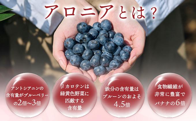 [№5525-0278]北海道 伊達大滝産 アロニア ベリー 赤い はちみつ 140g×1 国産 ハチミツ 蜂蜜 ハニー 赤はちみつ スーパーフード 北のハイグレード食品 ギフト 花カフェアイバレー 