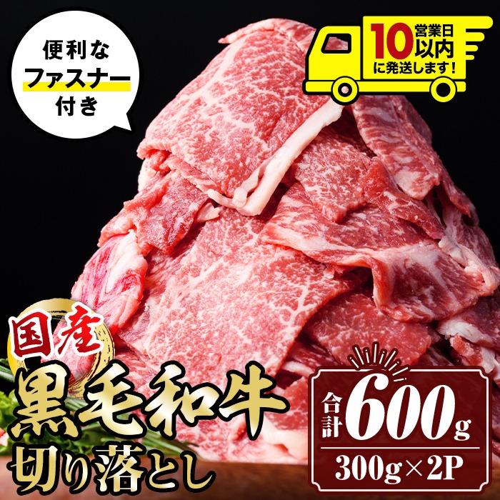 isa694 〈10営業日以内に発送〉黒毛和牛切り落とし (合計600g・300g×2P) 国産 真空包装 真空パック ファスナー 小分け 切落とし 牛 うし 牛肉 アウトドア BBQ 冷凍 【サンキョーミート株式会社】