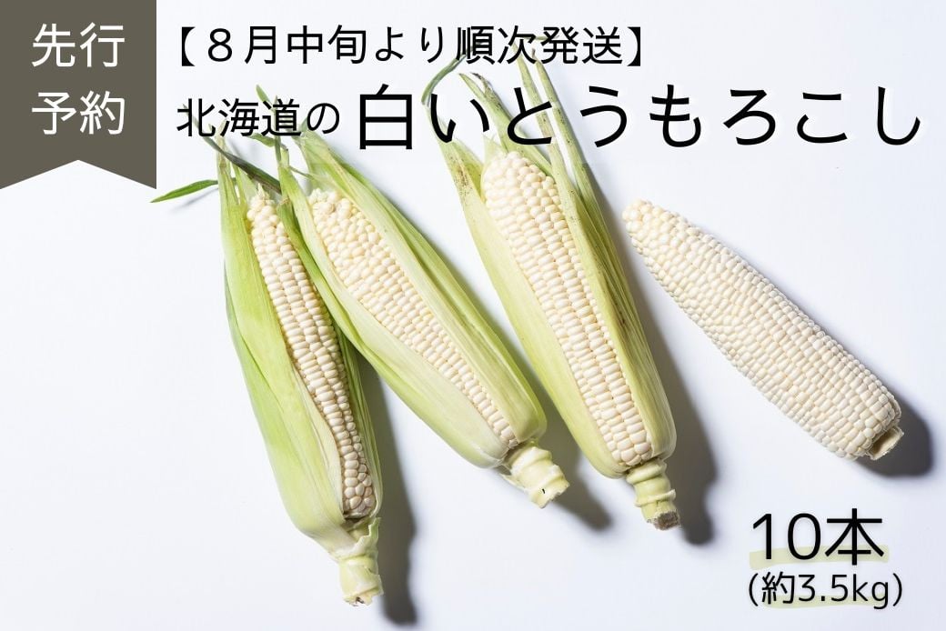 
            A134　【先行予約】夏限定お届け！フルーティな甘み！ロイシーコーン【北海道の白いとうもろこし】 （10本セット）北海道 鷹栖町 原崎農園
          