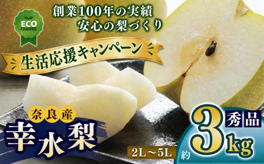 A10 【先行予約】 南陽園の幸水梨 おみやげ桜箱（約3kg）2L～5L  【秀品】 | ≪数量限定≫ 梨園直送！ 期間限定 果物 くだもの フルーツ 農家直送 梨 ナシ なし シャキシャキ もぎたて 旬 お取り寄せ 幸水梨 奈良県 大淀町 ※8月中旬より順次発送予定