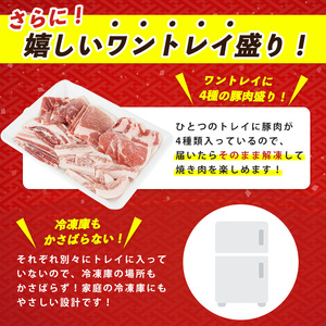  鹿児島黒豚 焼肉用 焼肉 バラエティセット 1kg 岡村商店 IB024-013 黒豚 黒豚 