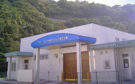シマアジ セット 遊子産 計 500g 愛媛県漁業協同組合遊子支所 遊子 スキンレスロイン 250g 皮無し ロイン 250g 皮付き 片身分 魚介 刺身 お刺身 刺し身 お刺し身 皮なし 皮つき 加