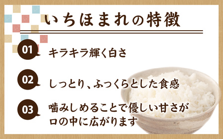 【先行予約】【令和7年産　新米】いちほまれ 5kg×1袋（計5kg）【2025年11月下旬より順次発送】精米 