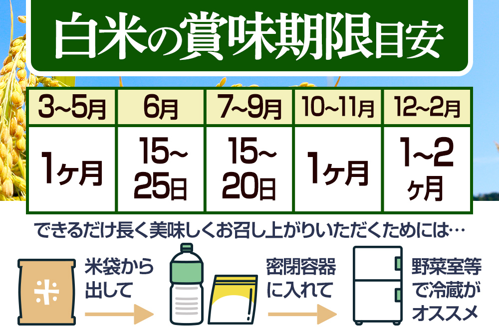 【無洗米】＜令和7年産 新米予約＞《定期便7ヶ月》秋田県産 あきたこまち 15kg (5kg×3袋) ×7回 15キロ お米  新米
