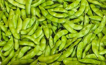 【9月末～発送開始】枝豆 2kg 朝採り新潟県黒埼産 枝豆