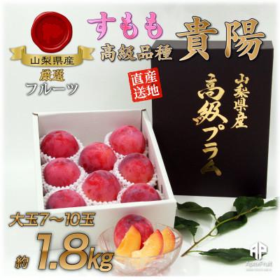 ふるさと納税 甲州市 甲州市産 すもも『貴陽』約1.8kg(化粧箱大玉7〜10玉)