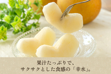 【2024年先行予約】新潟県産 和梨 幸水 5kg（10～16玉） 《8月中旬以降発送》こうすい 果物 フルーツギフト 秋の味覚 加茂市 梨工房みつば会