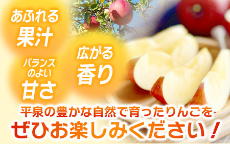 【令和6年度分予約受付】大文字りんご園 サン北斗 約5kg (18～20玉) 【2024年10月中旬頃より順次発送】/りんご りんご りんご りんご りんご りんご りんご りんご りんご りんご り