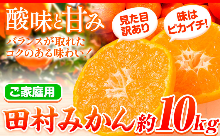 【先行予約】【ご家庭用 訳あり】田村みかん 10kg 株式会社魚鶴商店《2026年11月下旬-2027年1月下旬頃出荷》 和歌山県 日高町 柑橘 フルーツ---wsh_uot217_11g1g_25_18000_10kg---